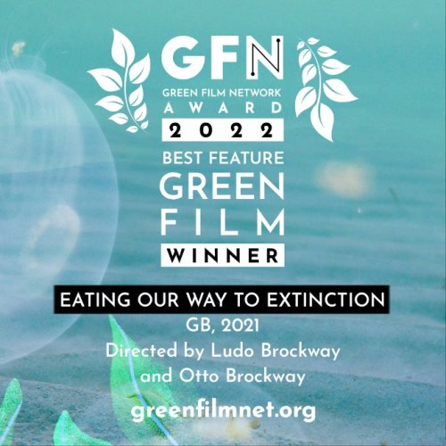 2022 feature film winner